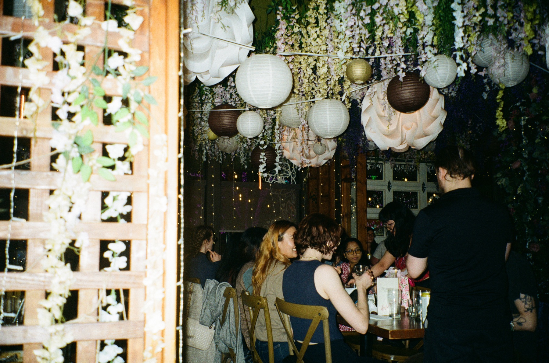 Lattice wall draped in white flowers with paper lanterns above a Tiramisu Bistro dinner service